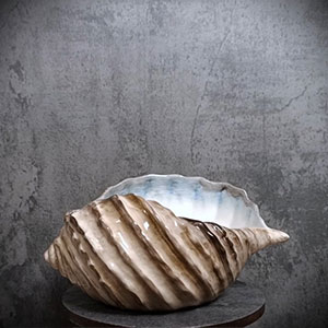 Brown shell 26