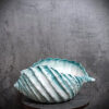 anteprima-conchiglia-tiffany-da26-video Tiffany shell 26