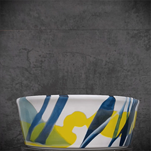 anteprima-video-ciotola-24-grafica-5 Bowl Ø 24 "Ritmi Animati"