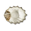 capasanta-28-marrone-sopra Brown scallop 28