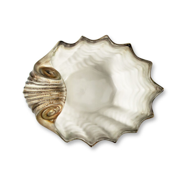 capasanta-28-marrone-sopra Brown scallop 28