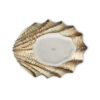capasanta-28-marrone-sotto Brown scallop 28