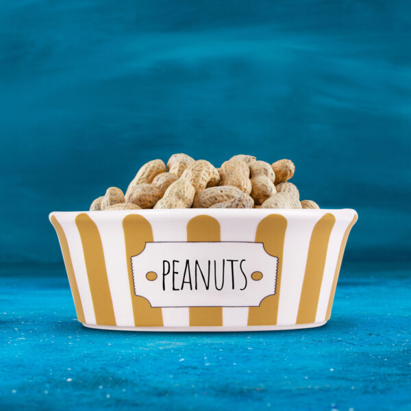 Ceramic peanuts bowl 18