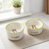 European Shorthair bowl set