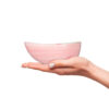 Bowl Ø14 with roses