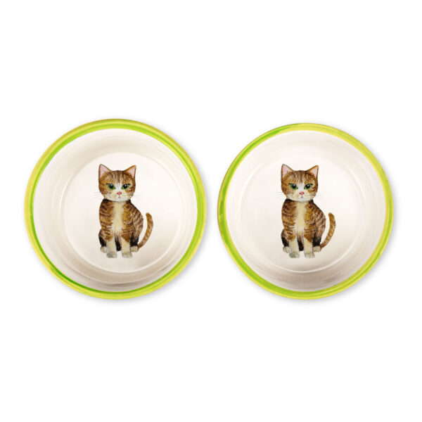 European Shorthair bowl set