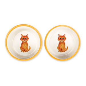 Ginger cat bowl set