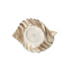 Brown shell 20