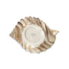 Brown shell 26