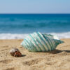 conchiglia-punte-26-tiffany-ambientata-2-ok Tiffany shell 26