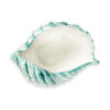 Tiffany shell 34