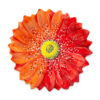 Red daisy table centrepiece