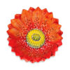 Red daisy bowl Ø28