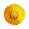 margherite-ciotola-media-gialla-sopra Yellow daisy bowl Ø23