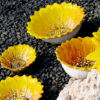 margherite-ciotole-gialle-ambientata Yellow daisy bowl Ø28