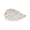 ostrica-madreperla-media-sotto medium mother-of-pearl oyster tray