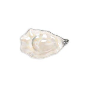 ostrica-madreperla-piccola-sopra-ok small mother-of-pearl oyster tray