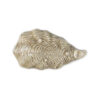 ostrica-oro-media-sotto Medium Copper Oyster