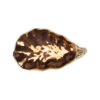 ostrica-rame-media-sopra Medium Copper Oyster