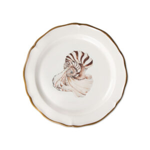 piatto-frutta-seashells-Nautilus-sopra-ok Nautilus dessert plate