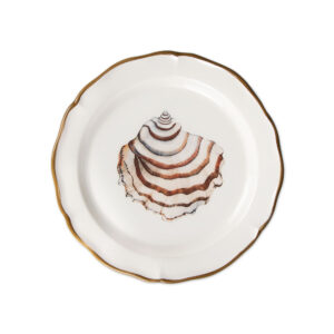 piatto-frutta-seashells-Trochus-sopra-ok Trochus dessert plate