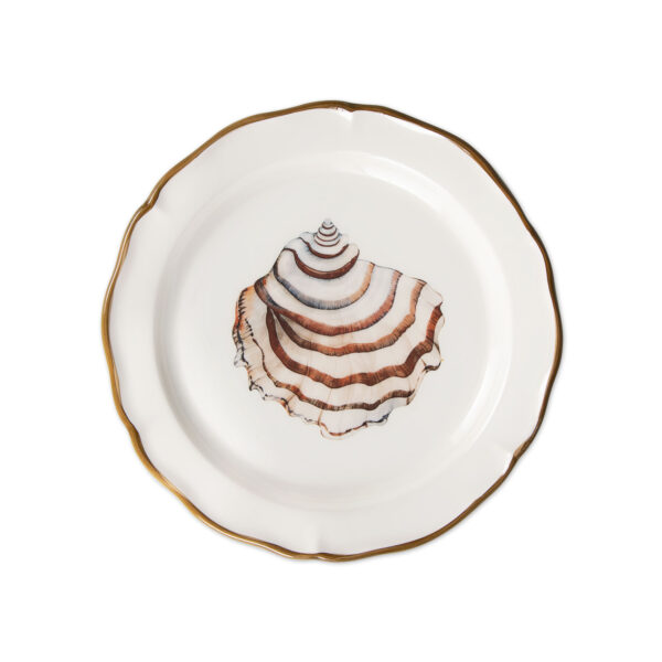 Trochus dessert plate