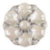 Mother-of-pearl oyster serving dish