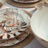 Nautilus plate