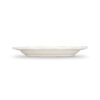 Blue Citrus plate