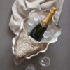 Oyster champagne bucket
