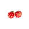 sale-e-pepe-funghi-rossi-sopra Salt and pepper red mushrooms
