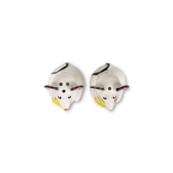 sale-e-pepe-funghi-topo-sopra Salt and pepper mice
