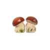 sale-e-pepe-porcini-1 Salt and pepper porcini mushrooms
