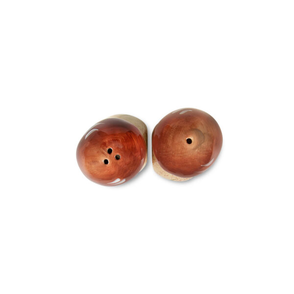 sale-e-pepe-porcini-sopra Salt and pepper porcini mushrooms