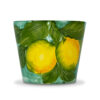 Pot with lemons
